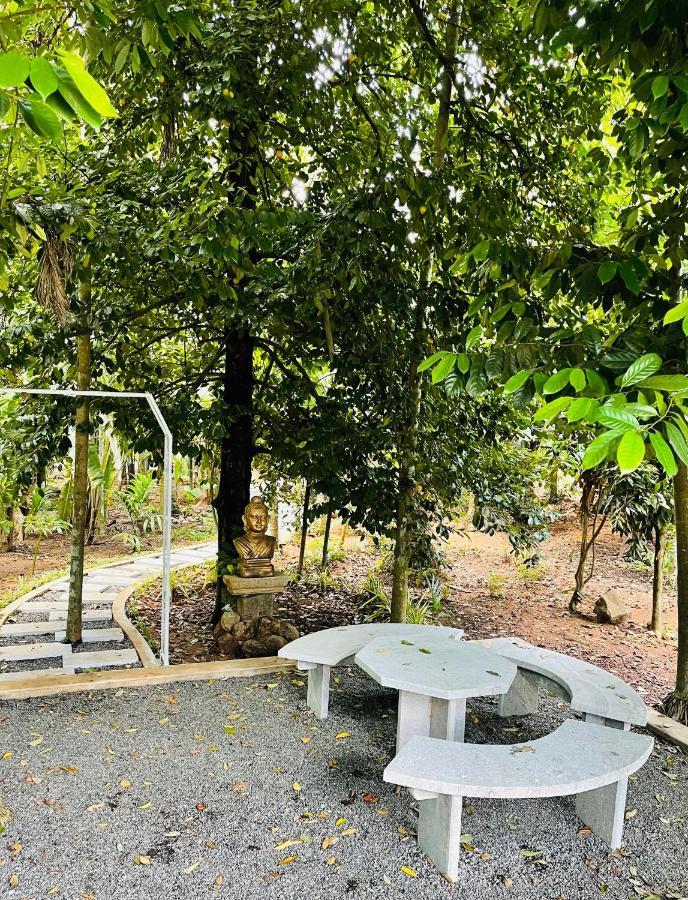 Kayyalas Courtyard Thrissur Eksteriør bilde