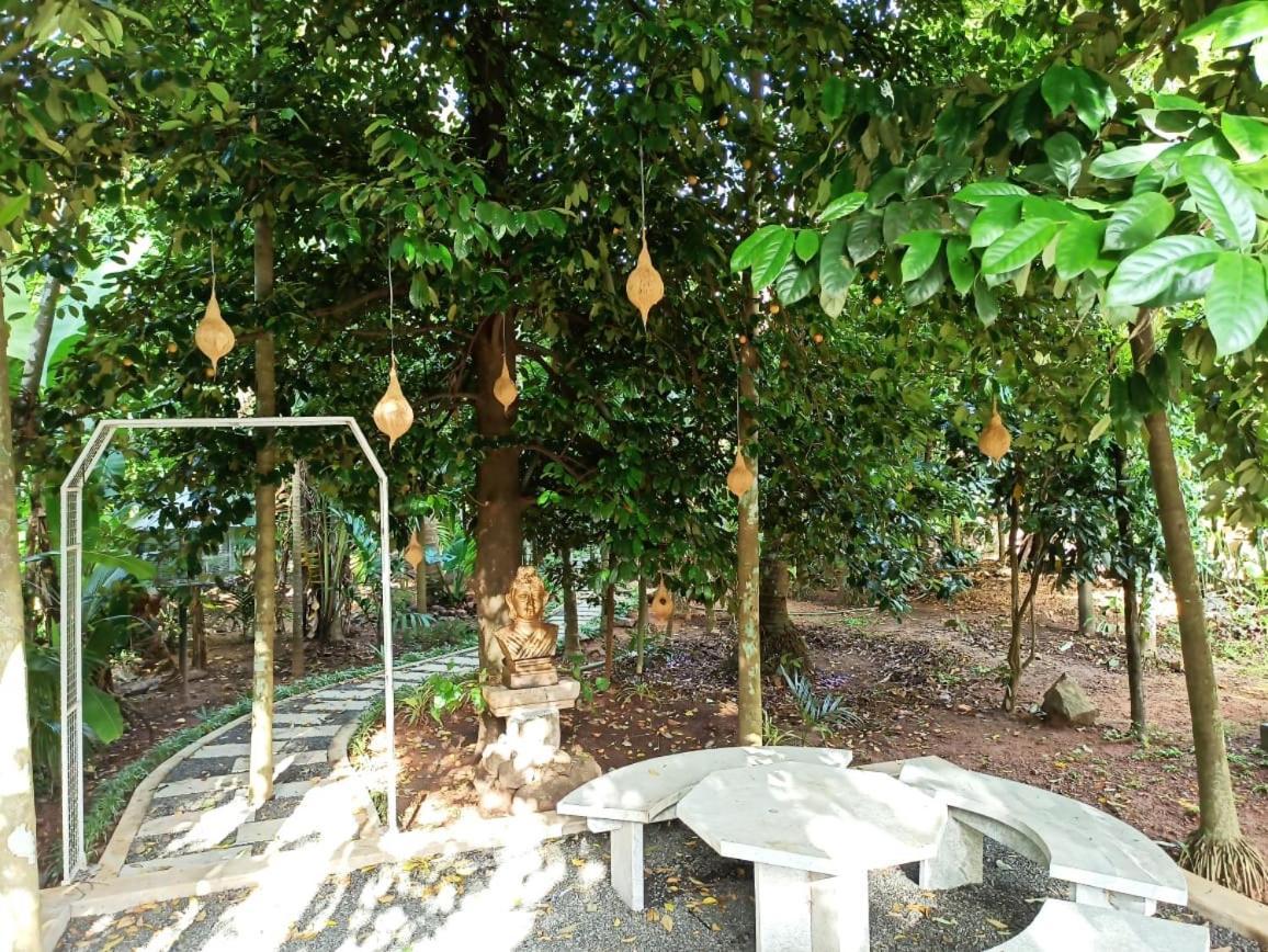 Kayyalas Courtyard Thrissur Eksteriør bilde